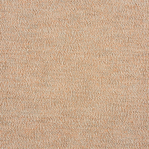 Prestigious Textiles Elsie Apricot