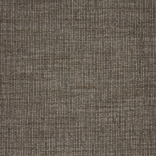 Edmund Bell Equilibrium Peppercorn