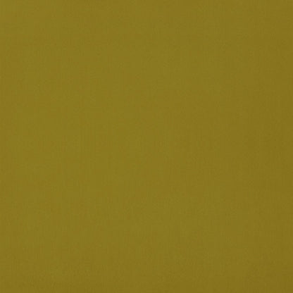 Edmund Bell Elegance Buttercup