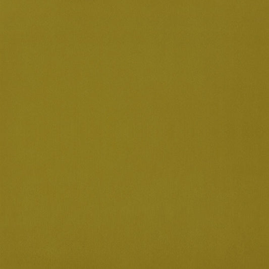 Edmund Bell Elegance Buttercup