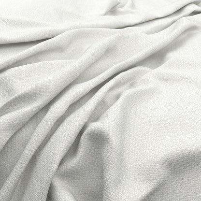 Warwick Scribble Optic