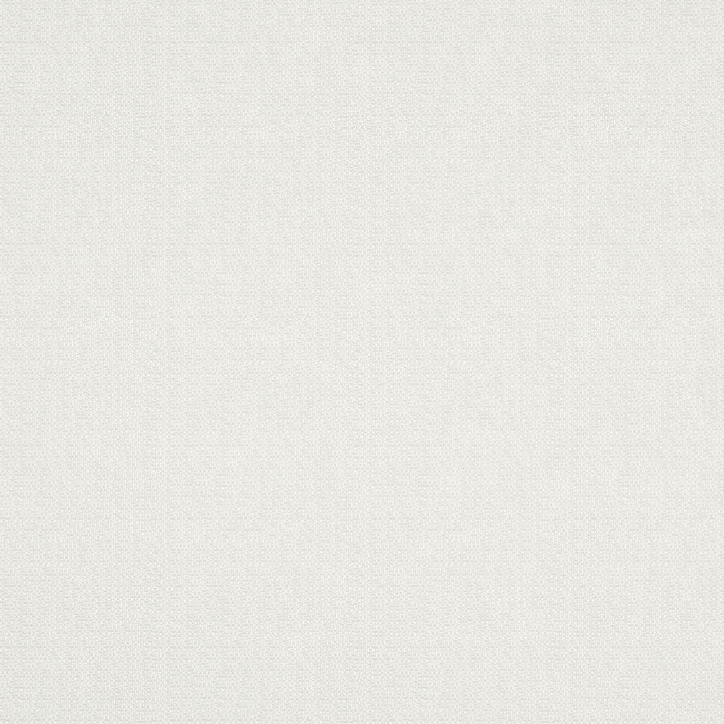 Warwick Scribble Optic