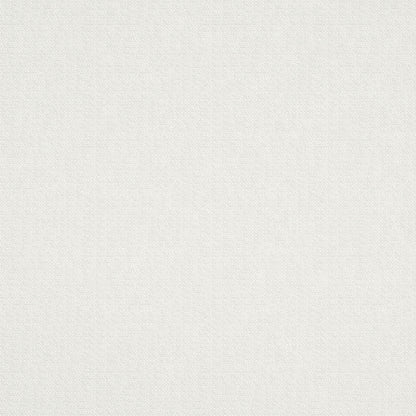 Warwick Scribble Optic