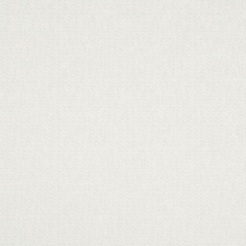 Warwick Scribble Optic