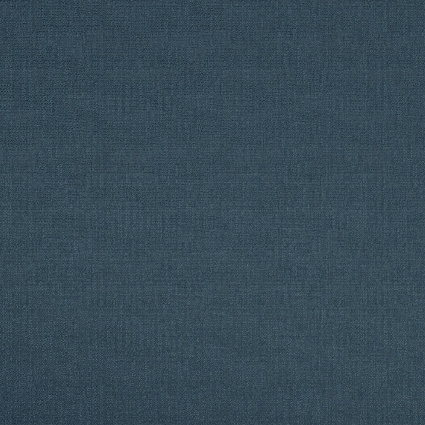 Warwick Scribble Admiral