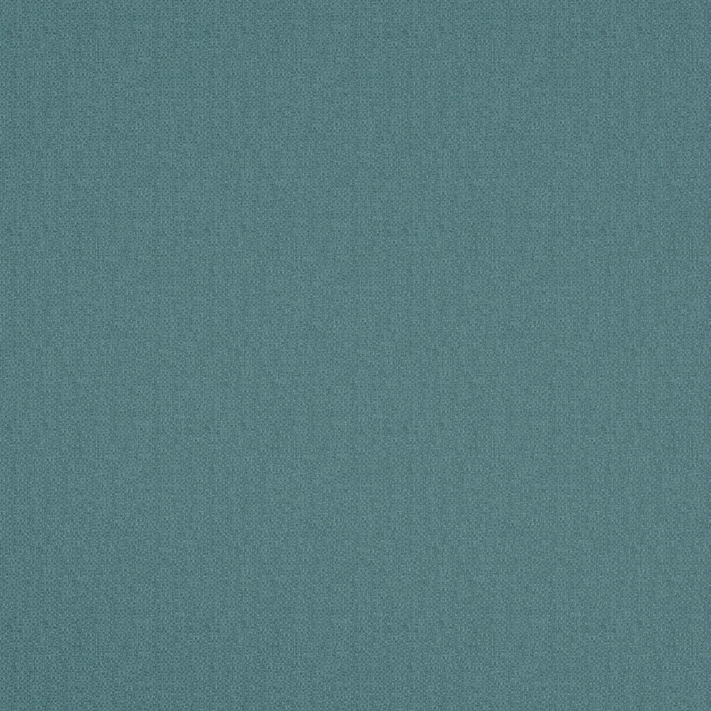 Warwick Scribble Reef