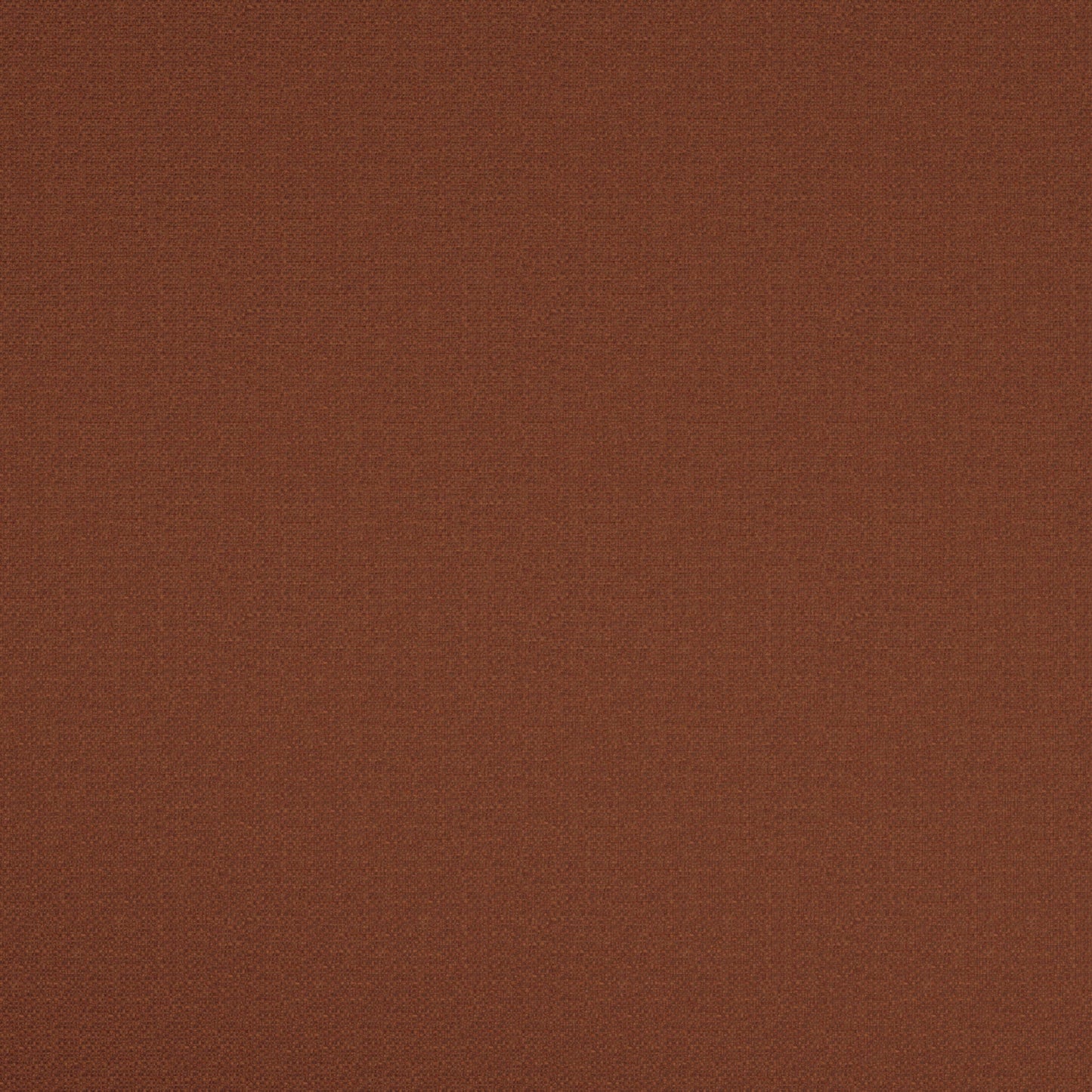 Warwick Scribble Burnt