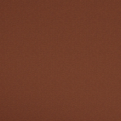 Warwick Scribble Burnt