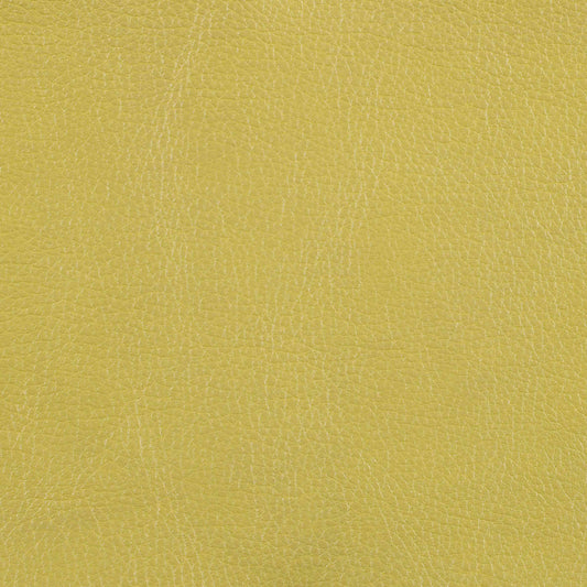 Warwick Marlborough Avacado