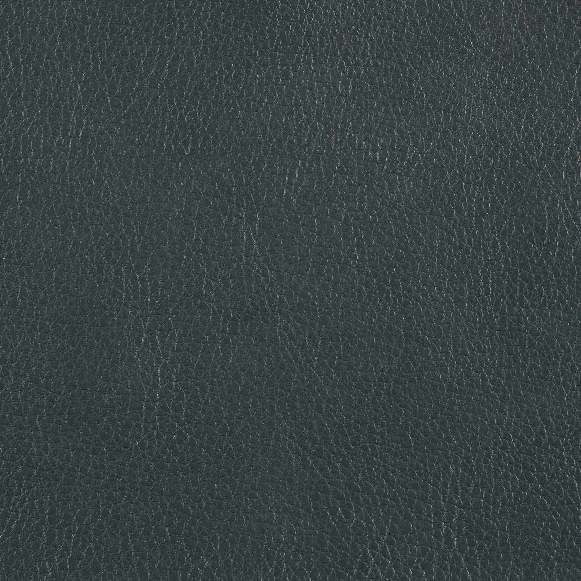 Warwick Marlborough Pine