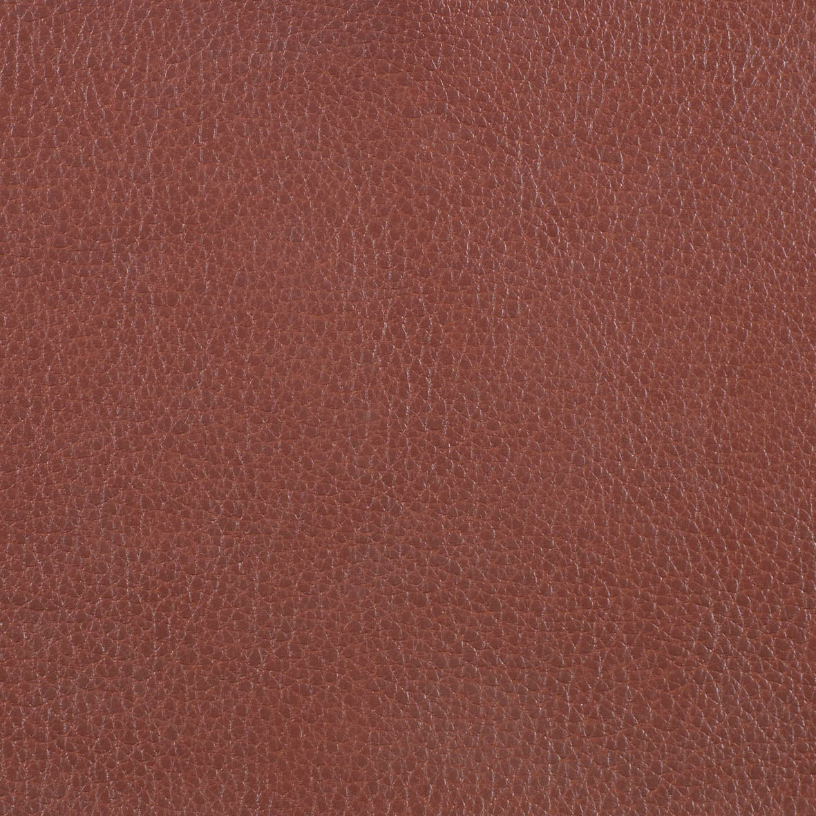 Warwick Marlborough Tan