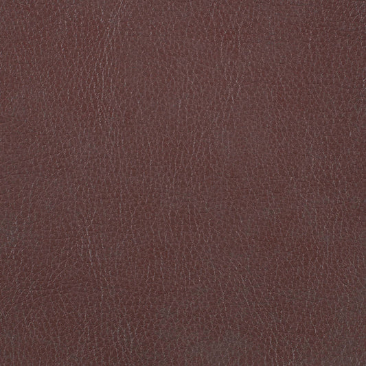 Warwick Marlborough Conker