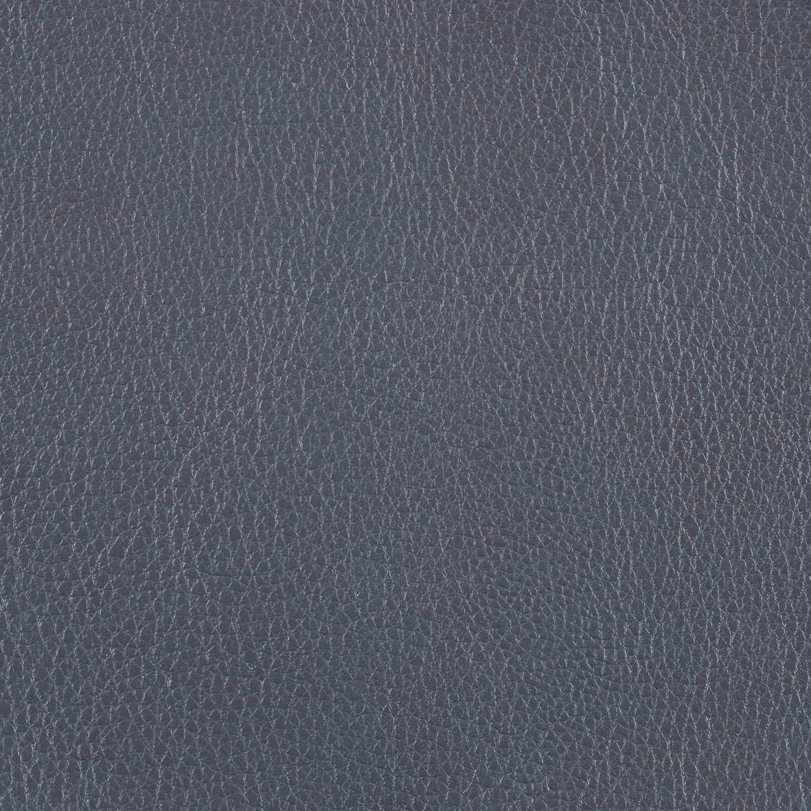Warwick Marlborough Carbon
