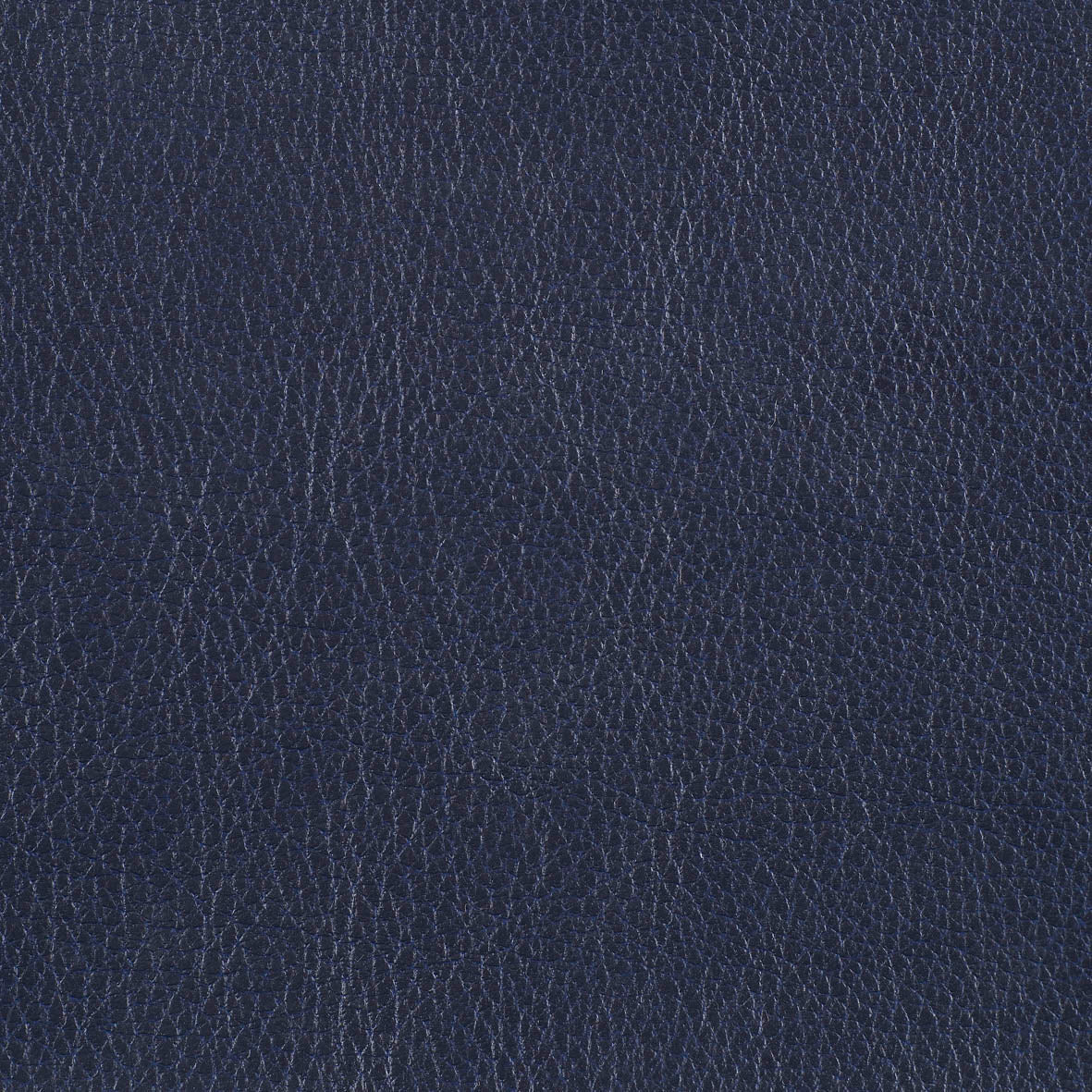 Warwick Marlborough Navy