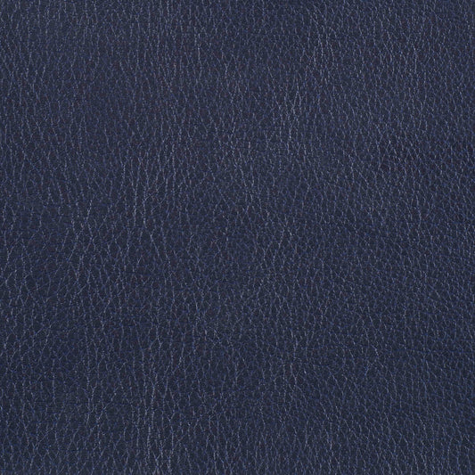 Warwick Marlborough Navy