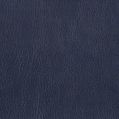 Warwick Marlborough Navy