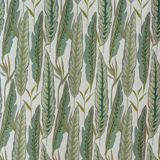 Fryetts Brodsworth Pampas