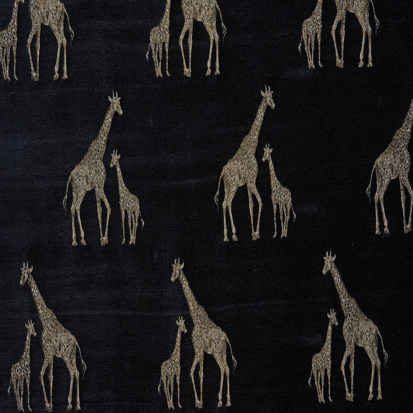 Fryetts Giraffe Noir