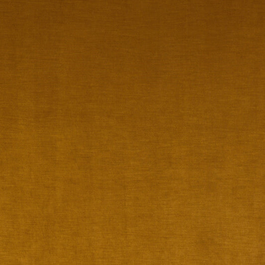 Fryetts Medici Ochre