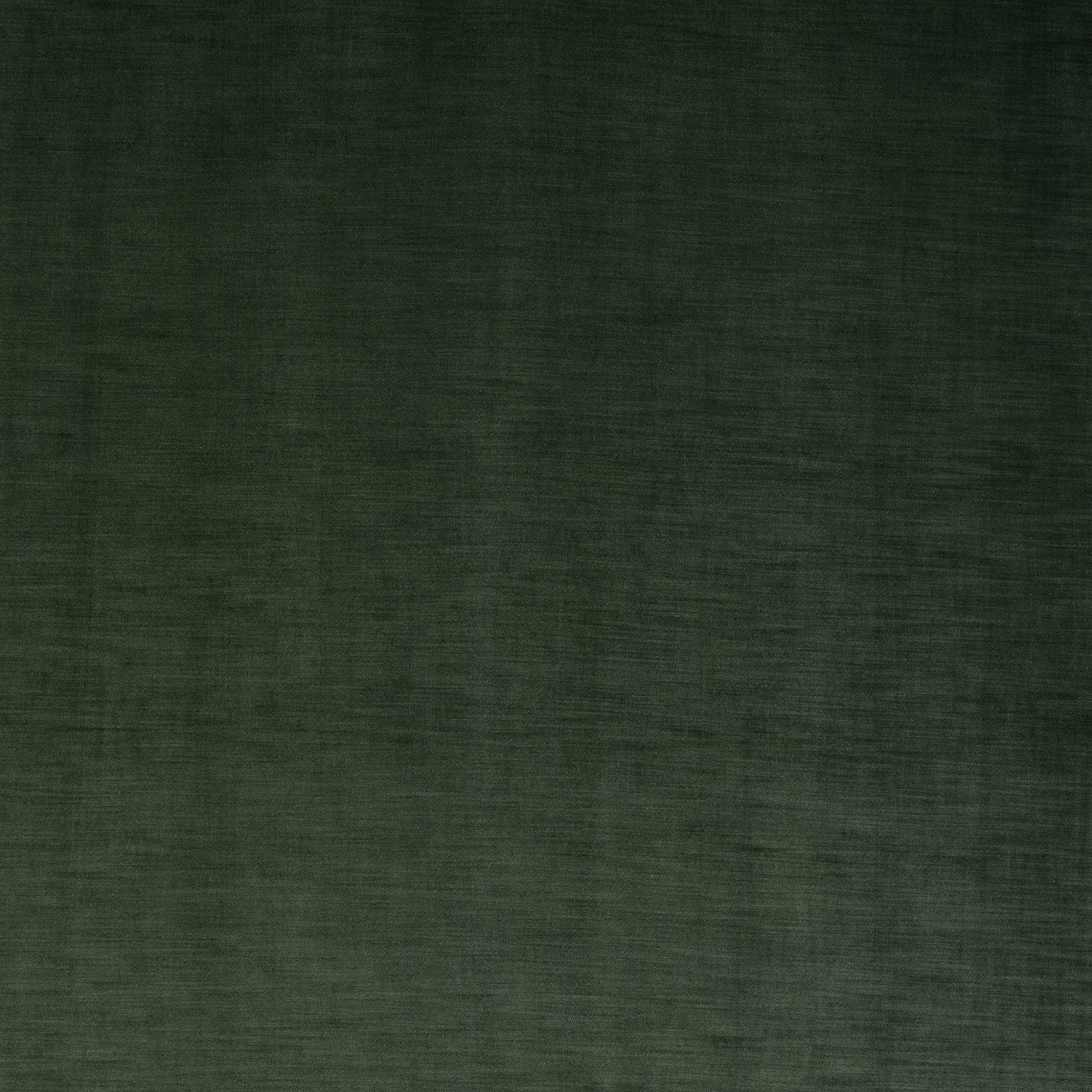 Fryetts Medici Pine Green