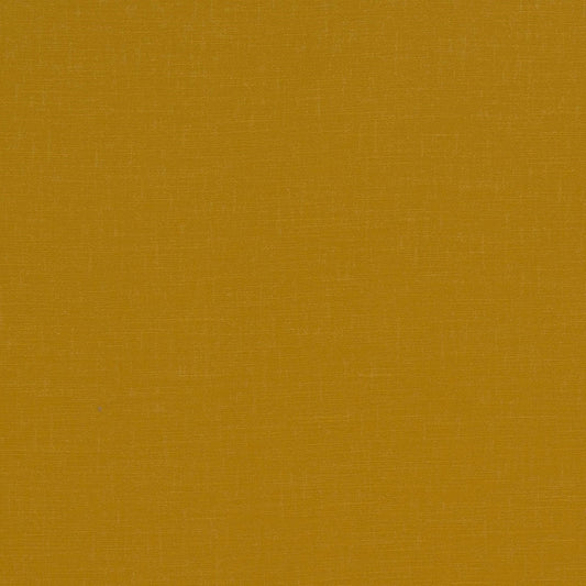 CFO Holland Park Saffron