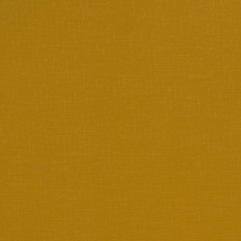 CFO Holland Park Saffron