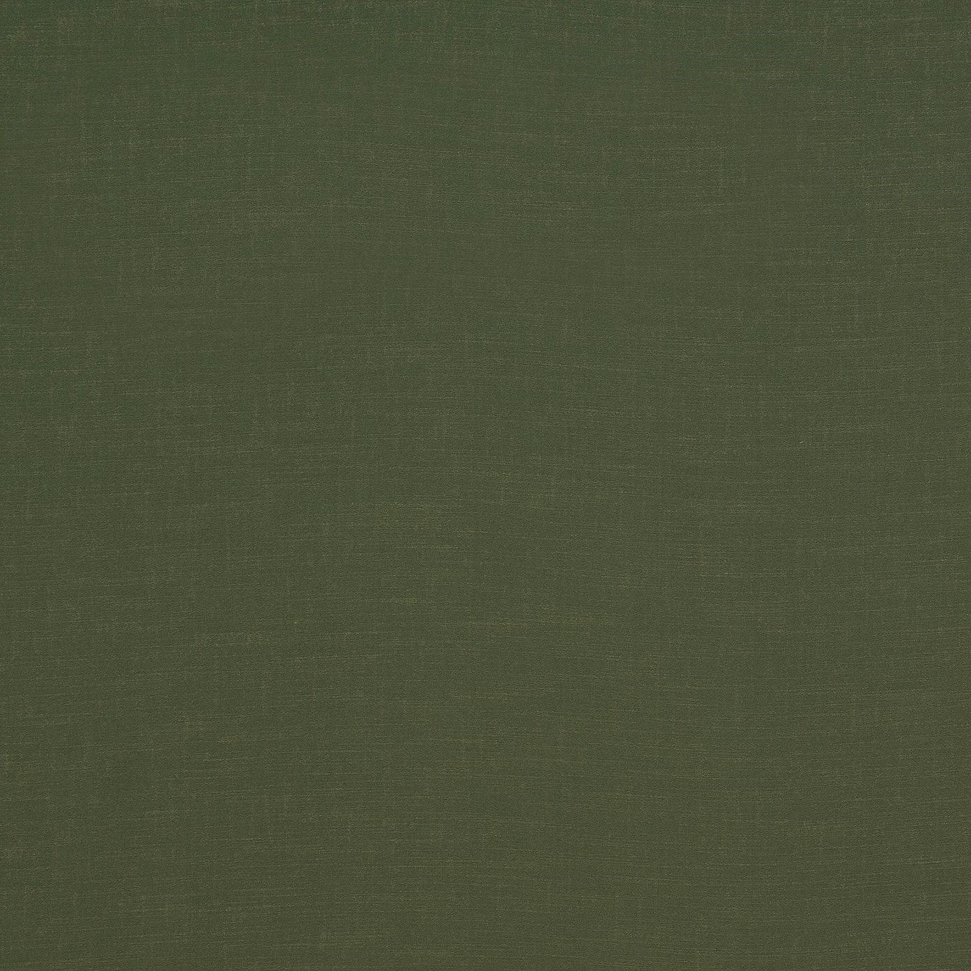 CFO Holland Park Sage