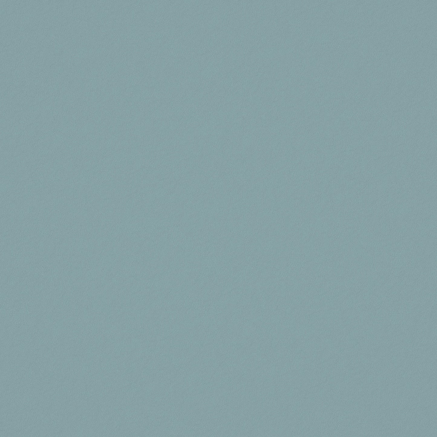 Warwick Ultra Sky Leatherette