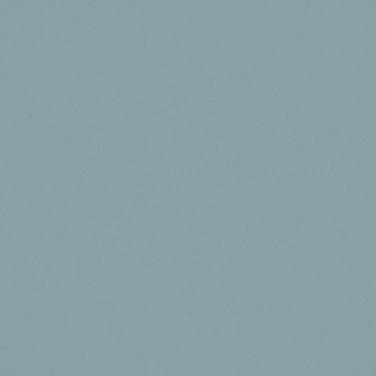 Warwick Ultra Sky Leatherette