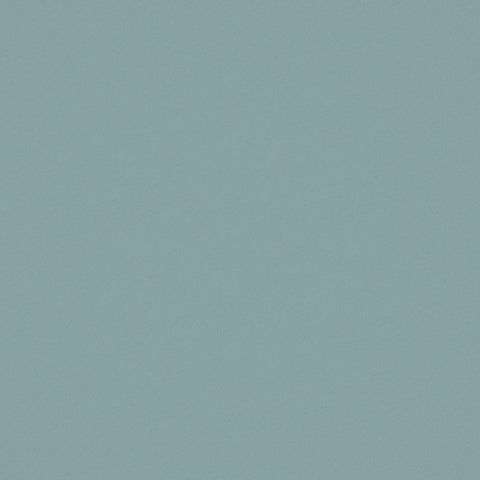 Warwick Ultra Sky Leatherette