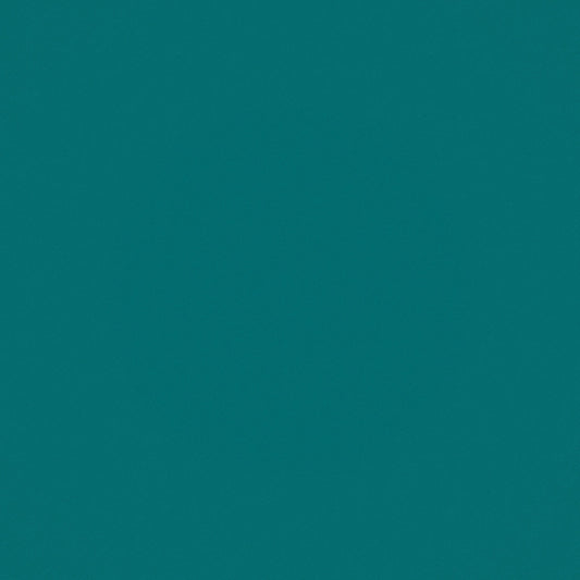 Warwick Ultra Turquoise Leatherette