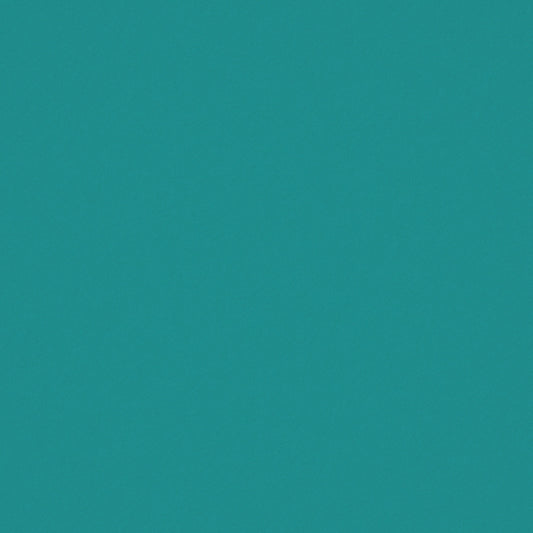 Warwick Ultra Atoll Leatherette