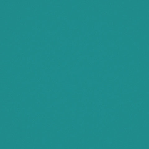 Warwick Ultra Atoll Leatherette