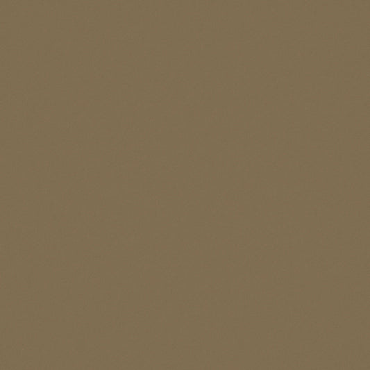 Warwick Ultra Ore Leatherette