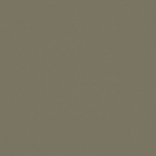 Warwick Ultra Khaki Leatherette