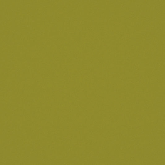 Warwick Ultra Lime Leatherette