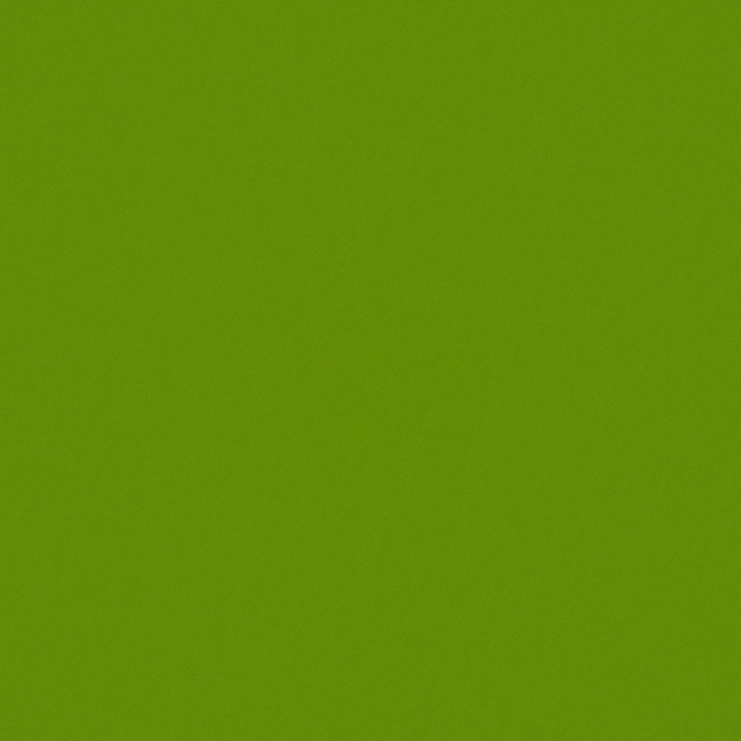 Warwick Ultra Granny Leatherette