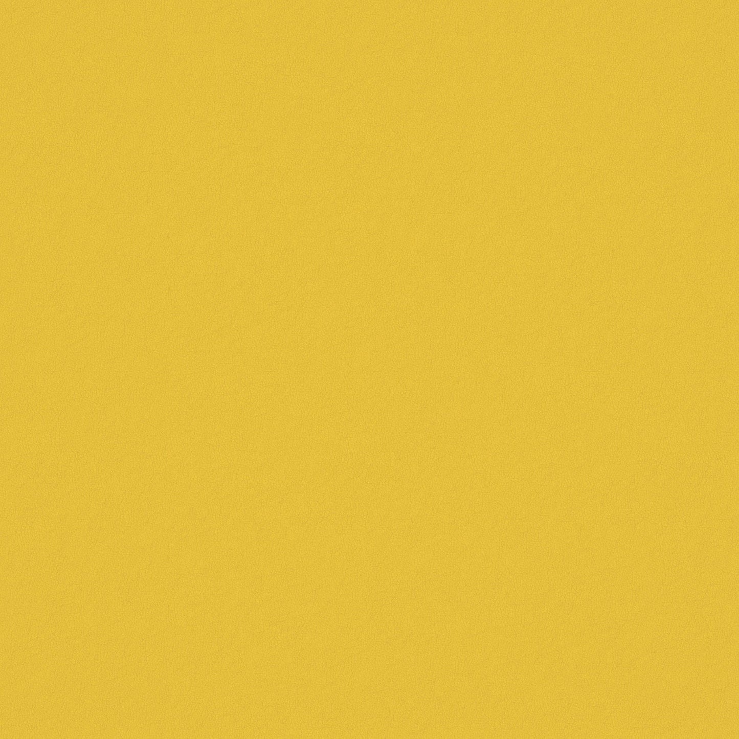 Warwick Ultra Sunshine Leatherette