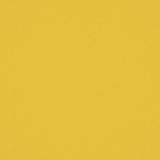 Warwick Ultra Sunshine Leatherette