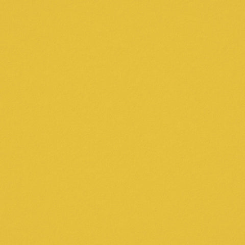 Warwick Ultra Sunshine Leatherette