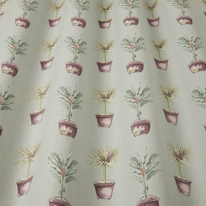 Iliv Greenhouse Pots Mist