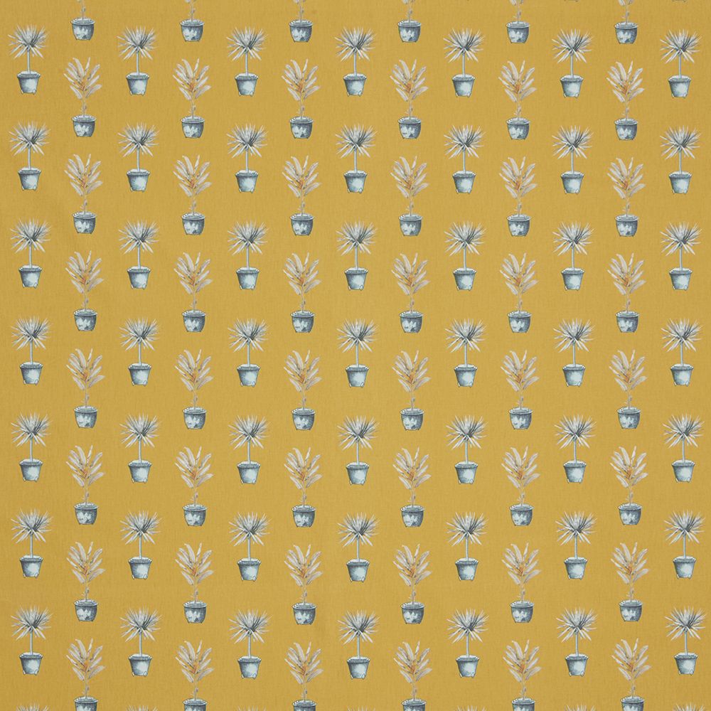 Iliv Greenhouse Pots Ochre