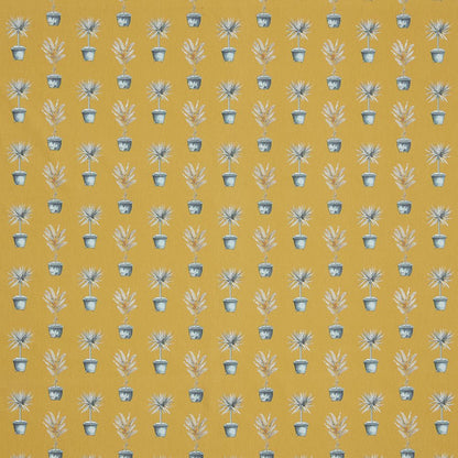 Iliv Greenhouse Pots Ochre