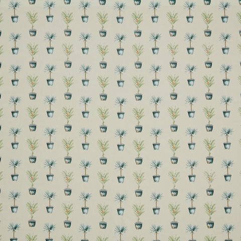 Iliv Greenhouse Pots Spruce