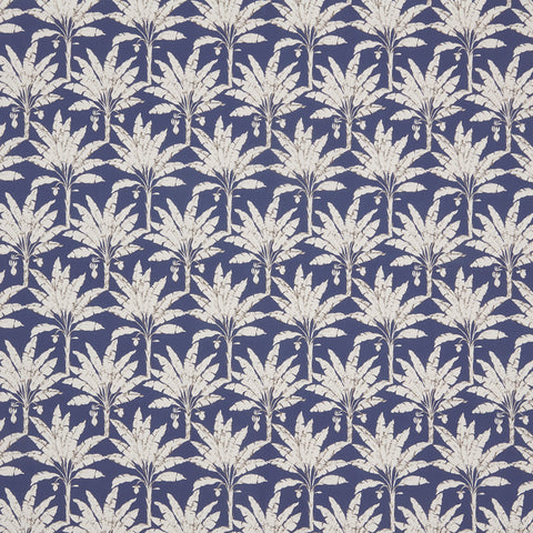 Iliv Palm House Moonlight