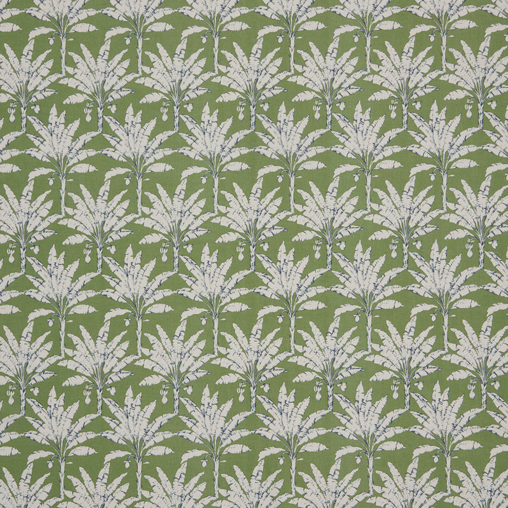 Iliv Palm House Spruce