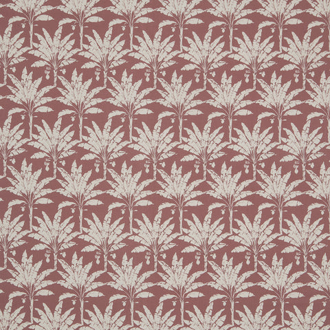 Iliv Palm House Woodrose