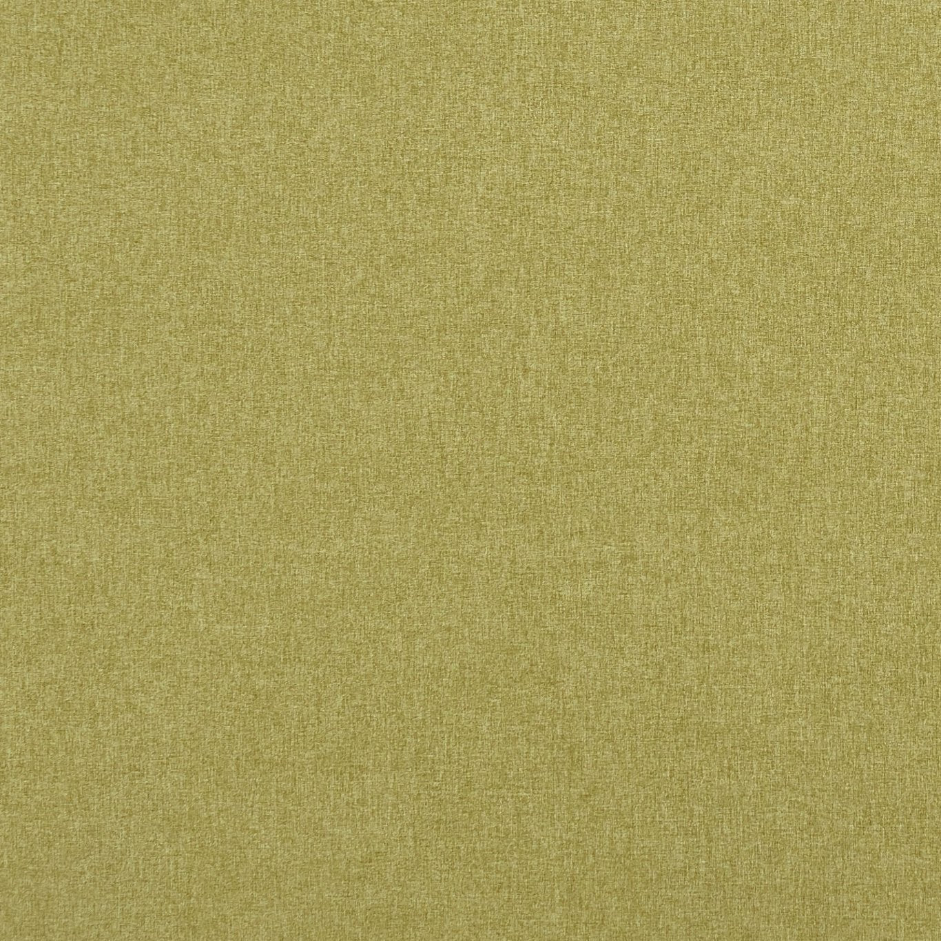 Clarke & Clarke Highlander Fern