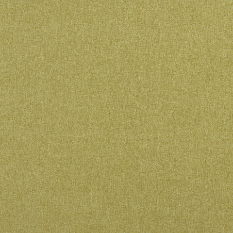 Clarke & Clarke Highlander Fern