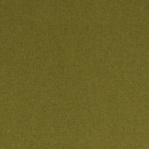 Clarke & Clarke Highlander Olive